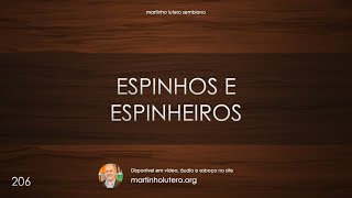 Martinho Lutero Semblano - Espinhos e espinheiros