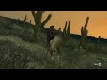 cavalos