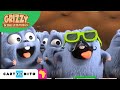 Grizzy and the Lemmings | The Filters | Cartoonito Africa