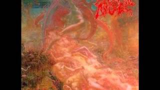 Watch Morbid Angel Unholy Blasphemies video