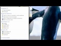 realplayer