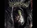 Fleshgrind - Hatred Embodied.wmv