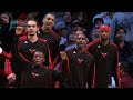 bulls