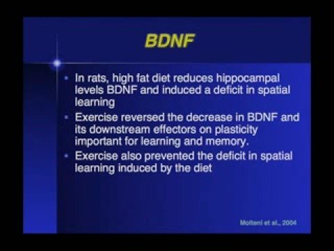 SIRA: Exercise and Cognition