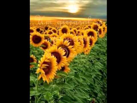 download clean technology for download clean technology