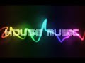Disco Loca - Flute ibiza 2k13 (Dj Sp1nN House REMI