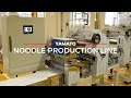 Revolutionize Your Noodle Production with Our High-Performance Automatic Full-Cycle Line!
