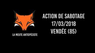 St-Martin-Des-Fontaines, Forêt De Mervent 85 Sabotage Dune Che À Courre Au Cerf - Acte