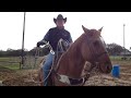 Brent Bennett performance horses... When it's to wet to rope ... No excuses... Horse training