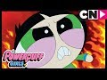 Powerpuff Girls | Coding Nightmare | Oh, Daisy! | Cartoon Network