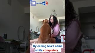 Cewe Cntik Wik Wik Sma Anjing Di Kamar Hotel