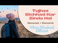 Tujhse Bichhad Kar Zinda Hain "Yaadon Ke Mausam" | Slowed & Reverb | Anuradha Paudwal | Vikas Dhakad