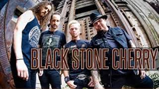 Watch Black Stone Cherry Evil video