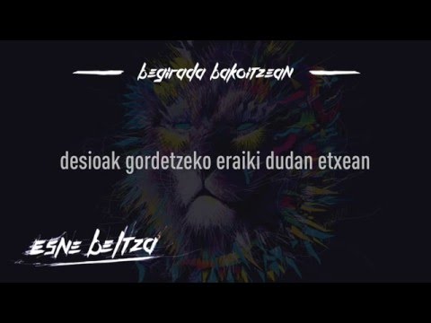 Begirada Bakoitzean Video
