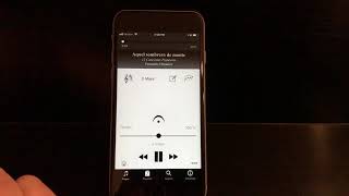Playlists