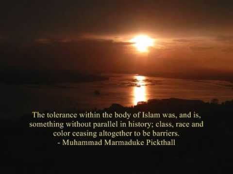 Islamic Quotes Full of Wisdom - YouTube