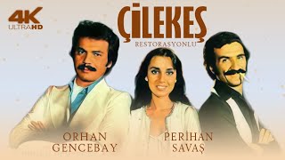 Çilekeş Türk Filmi | FULL | ORHAN GENCEBAY | PERİHAN SAVAŞ | RESTORASYONLU