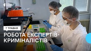 Дослідження Днк Та Експертиза Автомобілів: Як Працюють Криміналісти На Закарпатті