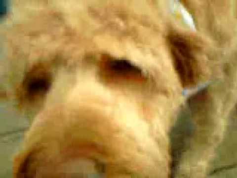 Sophie Bresler--last boarding day