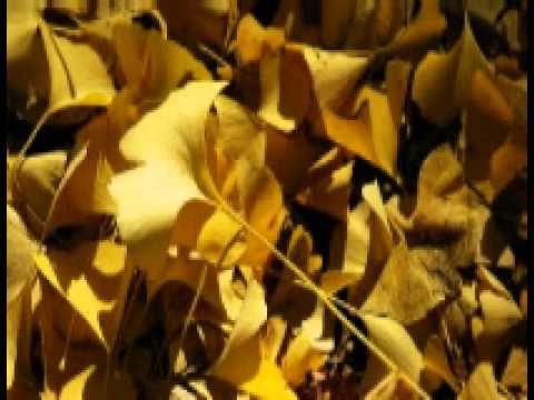 Baazigar sad song (mujhko galat na samajna - Kumar sanu).wmv
