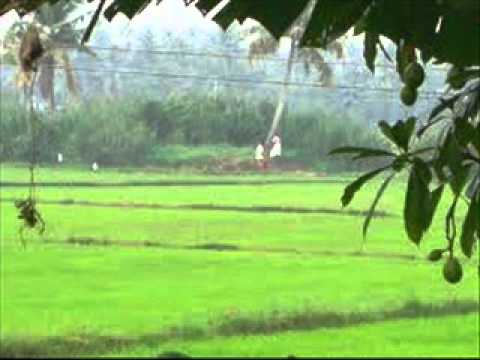 thiruvathira thiranokkiya