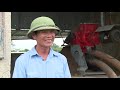Công nghệ &39độc đáo&39 ép phân lợn tươi thành… tiền | VTC16