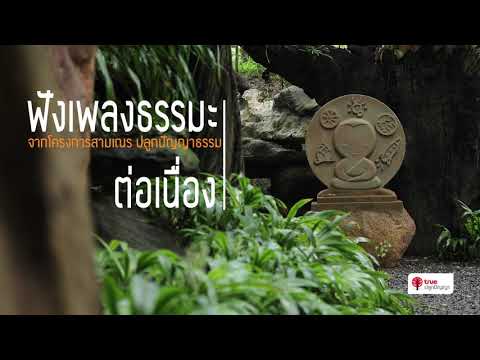 ฟังเพลงธรรมะต่อเนื่อง | จากโครงการสามเณร ปลูกปัญญาธรรม