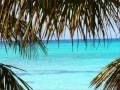 Saona