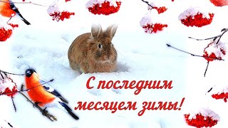 С Началом Февраля! С Последним Месяцем Зимы! Зимний Приветик!