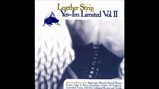 Watch Leaether Strip Life Is Painful bastard video
