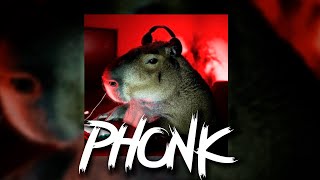 Capybara Phonk Music 2023 ♬ Aggressive Drift Phonk ♬
