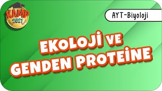 Ekoloji ve Genden Proteine | AYT Biyoloji #biyolojik