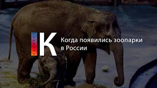 Когда Появились Зоопарки В России. Подкаст