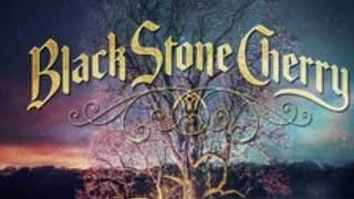 Watch Black Stone Cherry New Kinda Feelin video