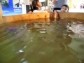 トレッサ横浜・飛騨下呂温泉1