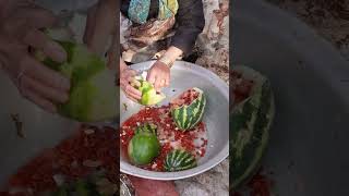 Watermelon Seed Production In The Village How Watermelon Seeds Are Produced In Rural Life