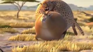 VÍDEO ANIMADO MAS CHISTOSO MORIRÁS DE RISA VÍDEO ANIMADO MAS CHISTOSO MORIRÁS DE RISA