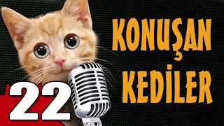 Konuşan Kediler 22 - En Komik Kedi ları