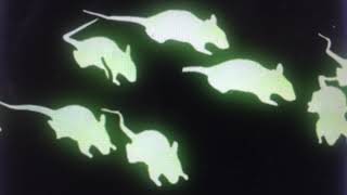 Watch Ina Deter Die Ratten Sind Los video