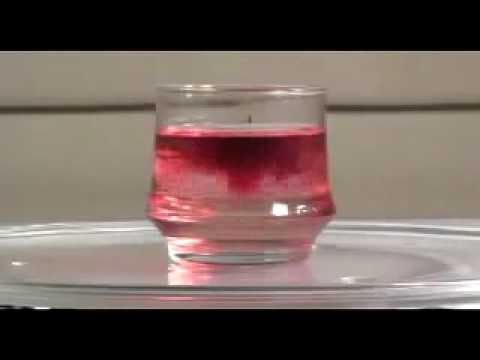 how old is makena lautner 2011. Taylor Lautner - Apologize