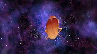 Rambunctious Beet Slowed Reverb