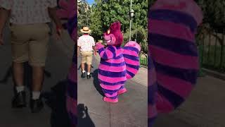The Cheshire Cat Smiles And Returns To Wonderland - Disneyland 101721 In Front Of Tomorrowland