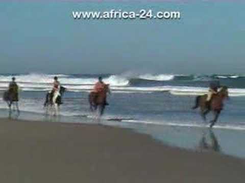 Wild Coast Horse Trails Video - Africa Travel Channel Wild Coast Horse Trails Video - Africa Travel Channel klip izle