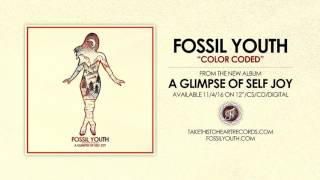 Watch Fossil Youth Color Coded video