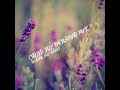 Perfect Relaxing Jazz Music