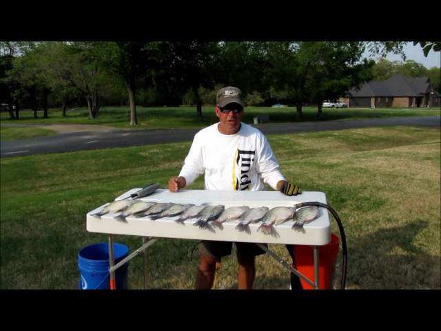 Watch How to Clean Crappie on YouTube.
