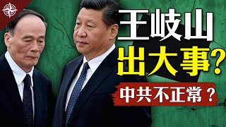 王岐山要出大事?黨媒照片藏玄機|八大解析,透視中共為何「不正常」|(2020.10.21)|世界的十字路口 唐浩