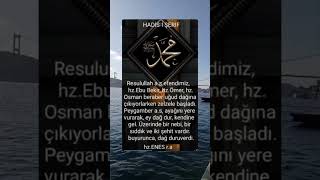 Hz.enes R.a.