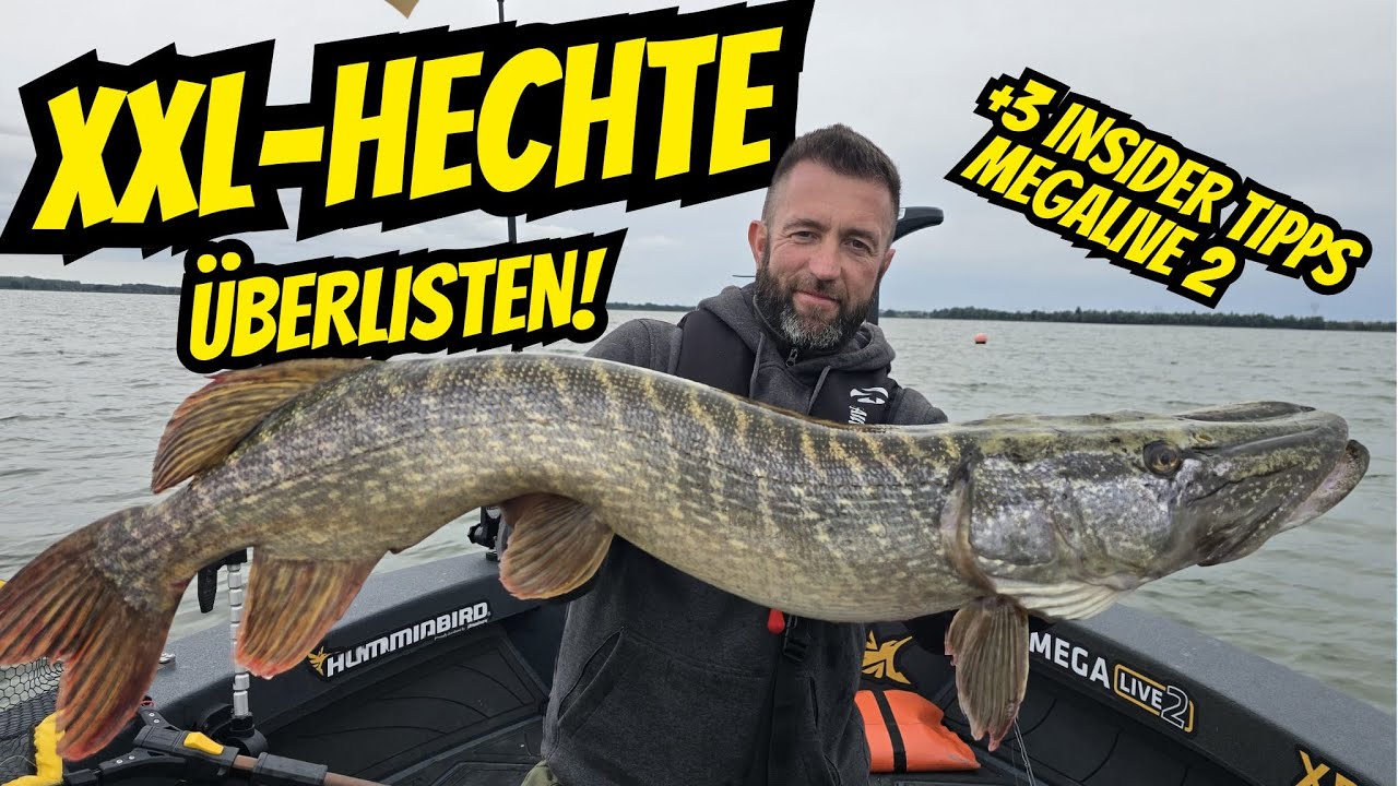 TIPPS und TRICKS | So fängst du jetzt PELAGISCH Hechte