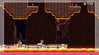 Mole to Goal Returns Gold Medal - New Super Mario Bros. U (Clear)